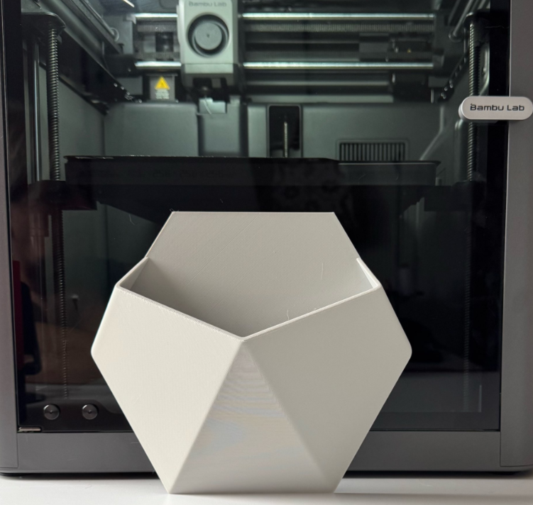 Wandpflanzer Hexagon – Japandi Einzeln