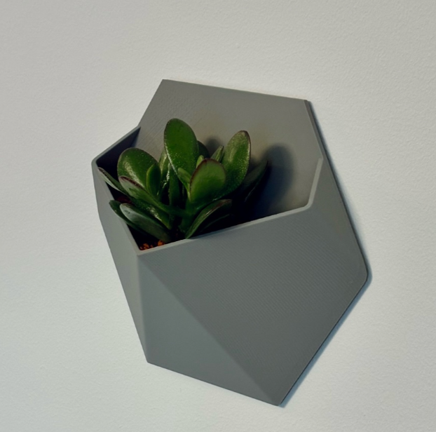 HEXAGON Wandpflanzer – Architektur für deine Wand (2er Set)