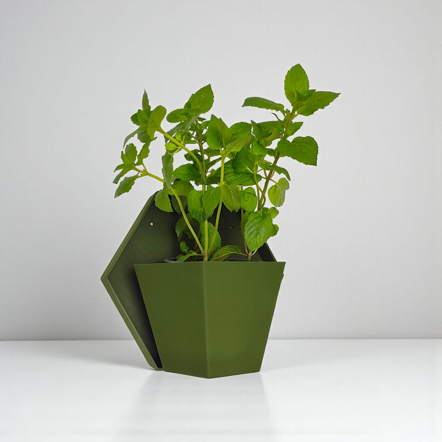 Geometrischer Wandpflanzer im Japandi Stil