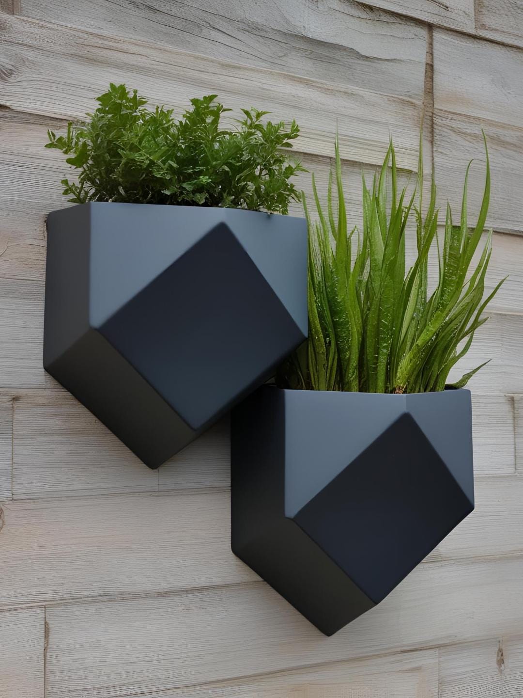 Geometrischer Wandpflanzer im Japandi Stil – moderner Blumentopf zur Wandmontage